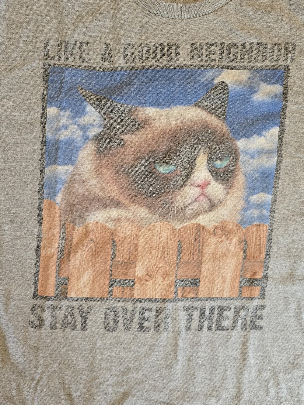 Men's Vintage Y2K Gray Grumpy Cat Parody Novelty Graphic Tee